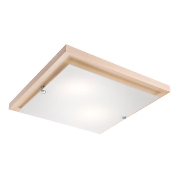 Candeeiro de teto LED/24W/230V faia