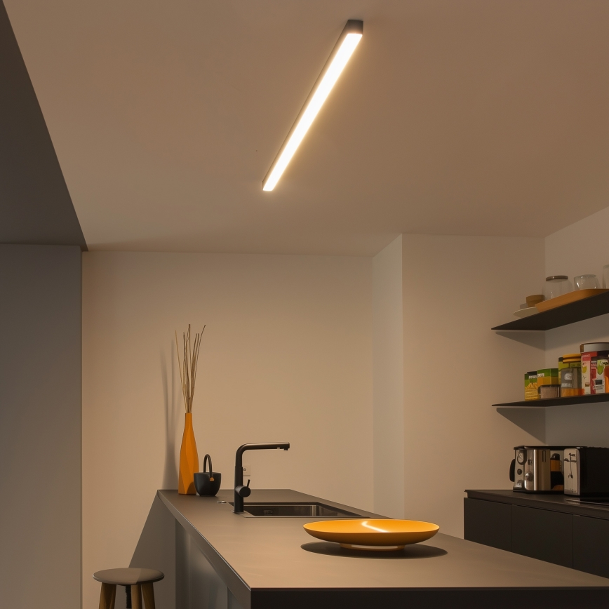 Candeeiro de tecto LED ALLDAY BASIC LED/20/30/40W/230V 2700/4000/6000K 120 cm preto