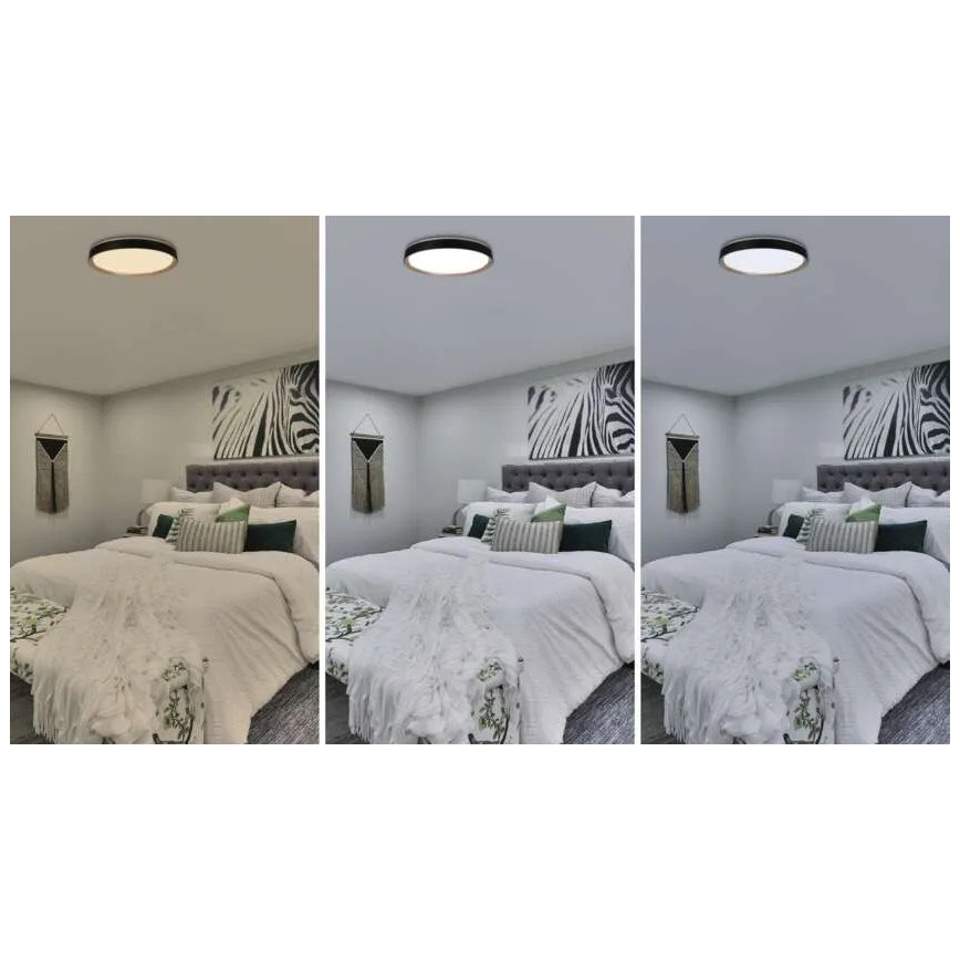 Candeeiro de tecto LED dimerizável ILVI LED/45W/230V 2700-6500K Ø 50 cm preto/bege + controlo remoto