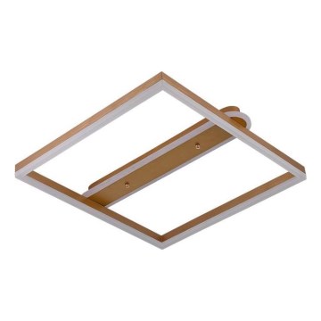 Candeeiro de teto LED regulável LED/60W/230V 3000-6500K + comando remoto