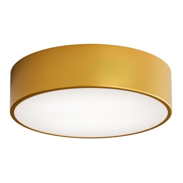 Candeeiro de teto para casa de banho CLEO com sensor, 2xE27/24W/230V, Ø 30 cm, dourado, IP54