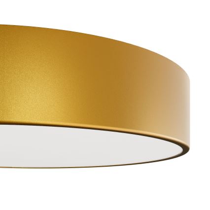 Candeeiro de teto para casa de banho CLEO com sensor, 2xE27/24W/230V, Ø 30 cm, dourado, IP54