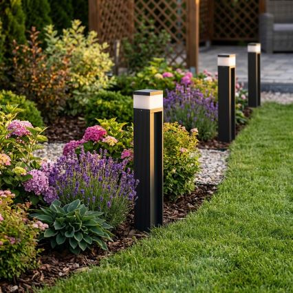 Candeeiro exterior VESPER 1xG9/5W/230V IP44 50 cm preto