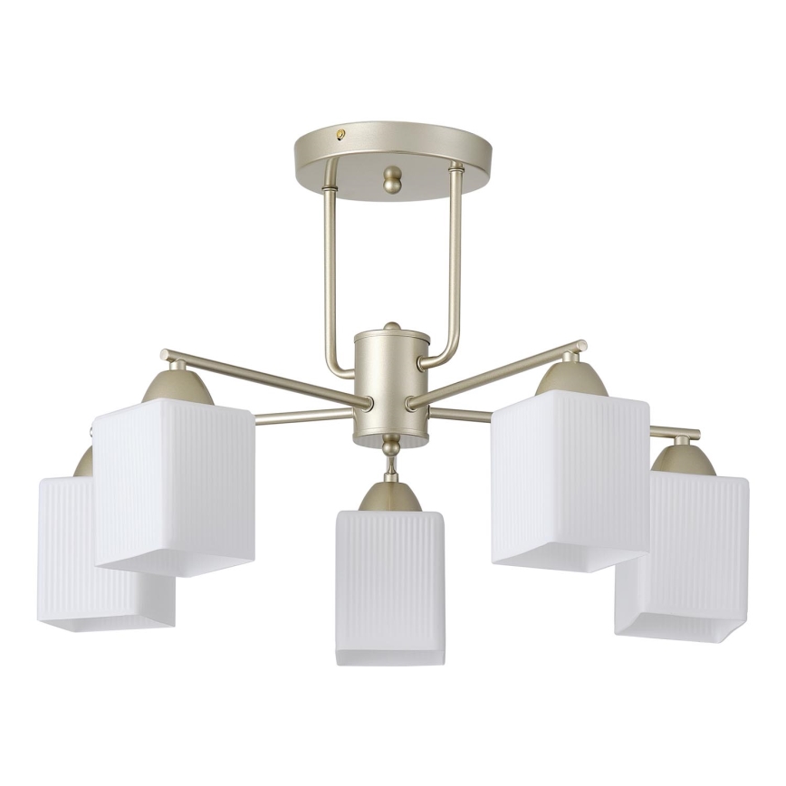 Candeeiro integrado 5xE27/60W/230V