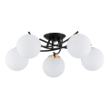 Candeeiro integrado SAVI 5xE14/10W/230V preto/dourado
