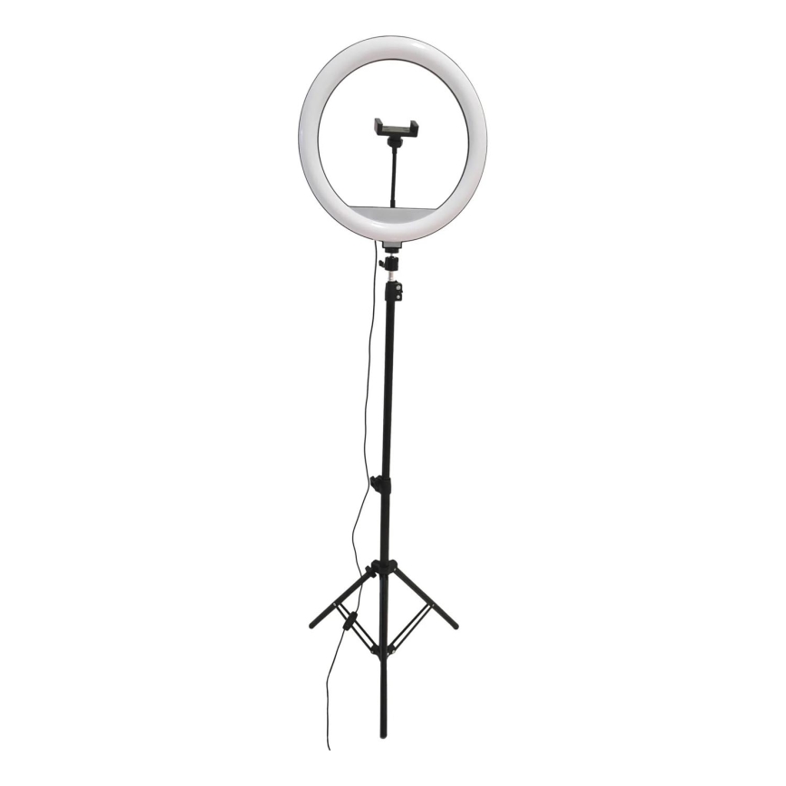 Candeeiro LED com regulação, tripé e suporte para vlogging LED/15W/5V 2700-6500K