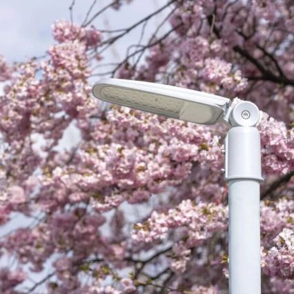 Candeeiro público LED SOLIS LED/30W/230V 3000K IP65