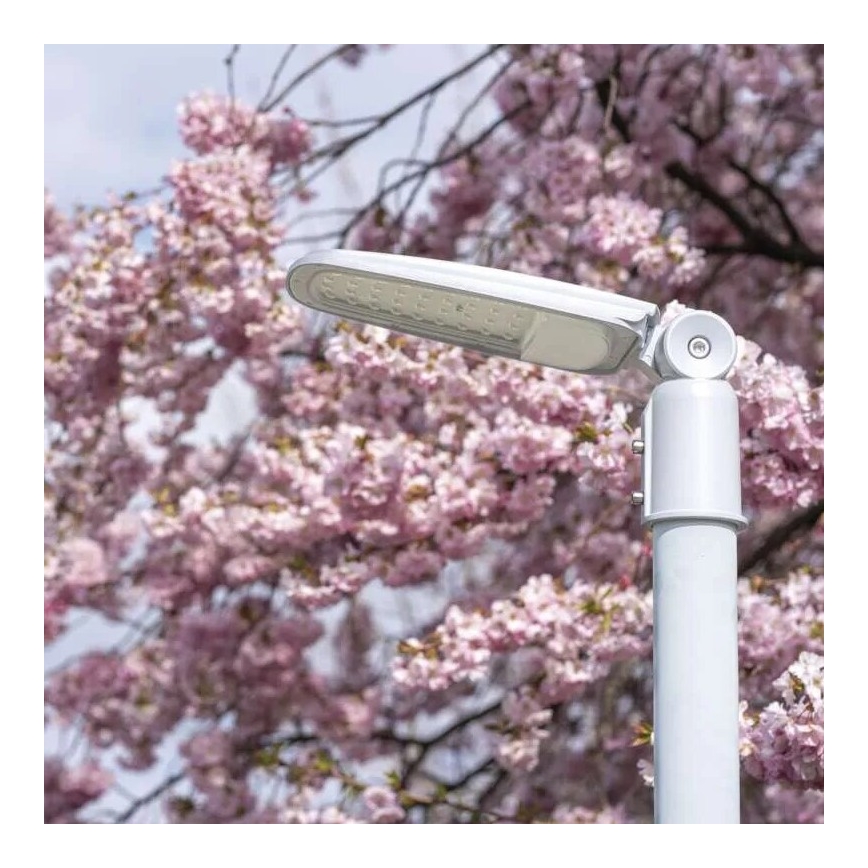 Candeeiro público LED SOLIS LED/30W/230V 4000K IP65