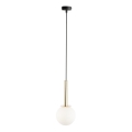 Candeeiro suspenso DAISY 1xG9/12W/230V diâmetro 14 cm dourado/preto/branco
