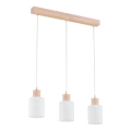 Candeeiro suspenso EVIC 3xE27/60W/230V