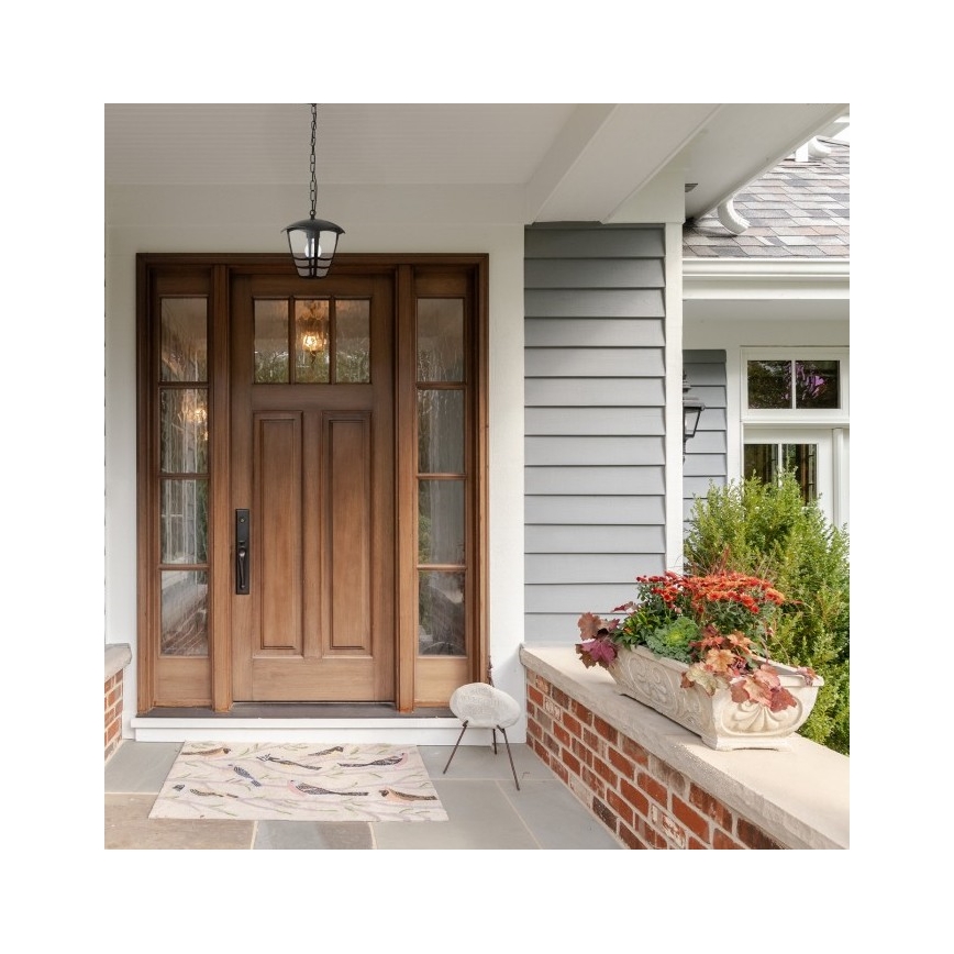 Candeeiro suspenso exterior TEVIO 1xE27/60W/230V IP54 preto