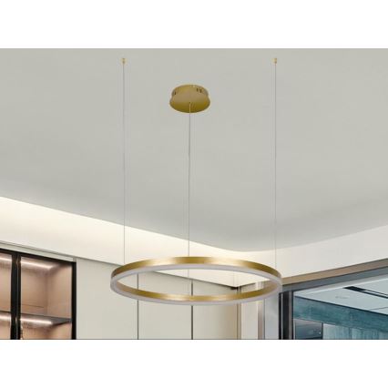 Candeeiro suspenso LED com regulação LED/42W/230V 3000-6500K diâmetro 60 cm + comando