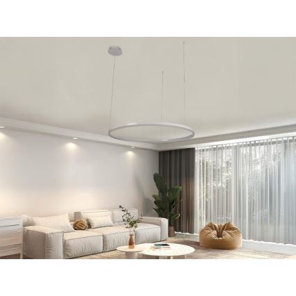 Candeeiro suspenso LED com regulação LED/55W/230V 3000-6500K diâmetro 80 cm + comando