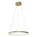 Candeeiro suspenso LED HOOP LED/27W/230V diâmetro 50 cm 4000K dourado