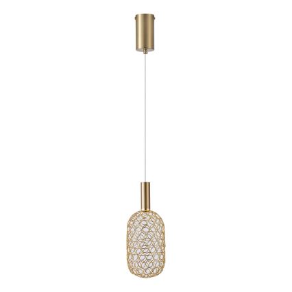 Candeeiro suspenso LED PERFORATO LED/6,3W/230V 3000K dourado diâmetro 13 cm