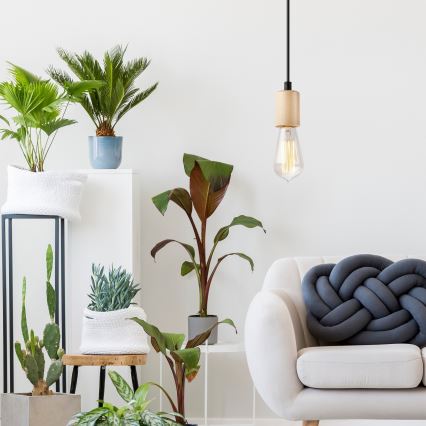 Candeeiro suspenso com cabo LEON 1xE27/60W/230V faia