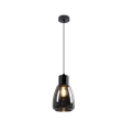 Candeeiro suspenso MOLDO 1xE27/40W/230V preto/fumado preto
