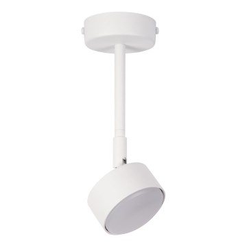 Candeeiro suspenso NEMO 1xGX53/12W/230V 24 cm branco