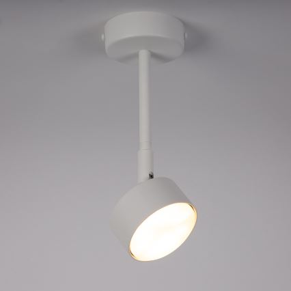 Candeeiro suspenso NEMO 1xGX53/12W/230V 24 cm branco