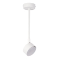 Candeeiro suspenso NEMO 1xGX53/12W/230V 35 cm branco