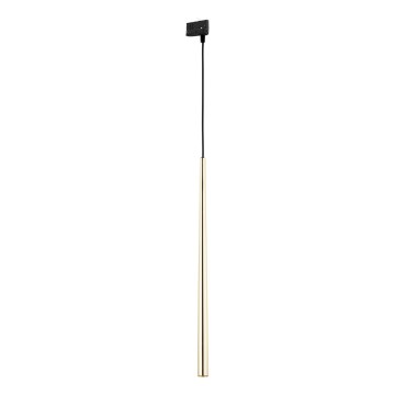Candeeiro suspenso para sistema de carril trifásico PIANO 1xG9/8W/230V dourado/preto