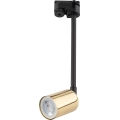 Candeeiro suspenso para sistema de carris monofásico TOP 1xGU10/10W/230V dourado/preto