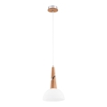 Candelabro num fio ATOL 1xE27/60W/230V