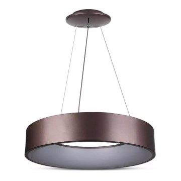 Candelabro num fio fosco LED 1xLED/20W/230V