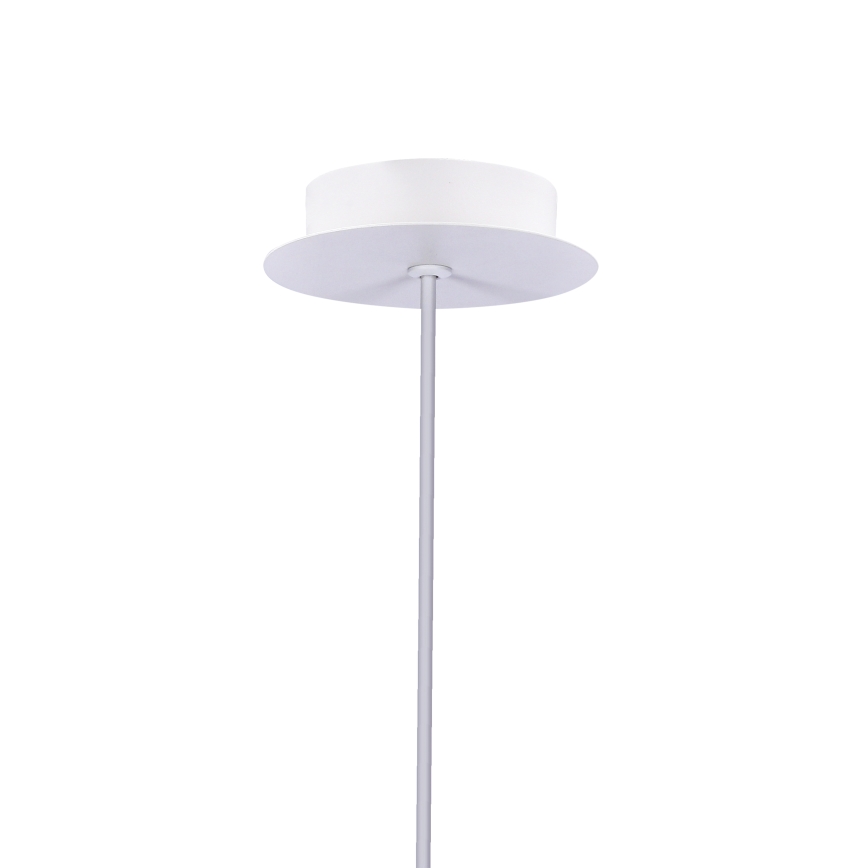 Candelabro num fio LED MODENA LED/5W/230V