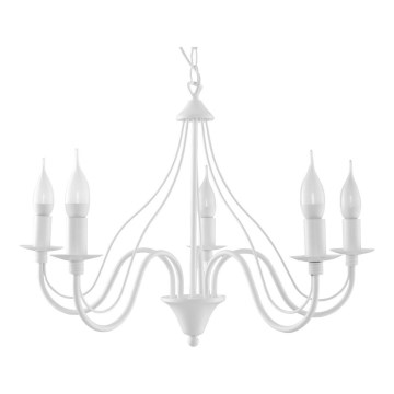 Candelabro numa corrente MINERWA 5 5xE14/40W/230V branco