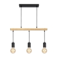 Candelabro sobre um fio IZZY 3xE27/60W/230V