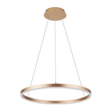 Candelabro suspenso DONA LED/42W/230V d. 60 cm