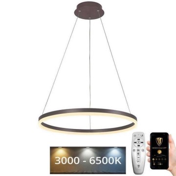 Candelabro suspenso LED com regulação LED/42W/230V 3000-6500K + controlo remoto