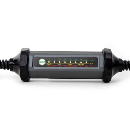 Carregador portátil para veículos elétricos com 4 adaptadores Type 2 32A/480V 22kW 5m IP67