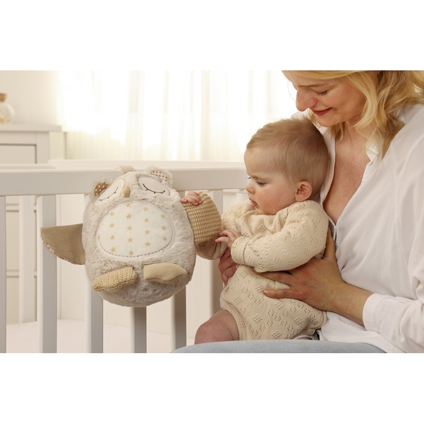 Cloud B - Amigo aconchegante com melodia 2xAA coruja