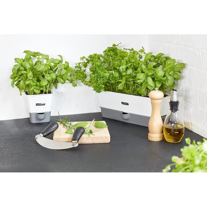 Cole&Mason - Moedor de pimenta CAPSTAN BEECH faia 20 cm