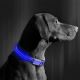 Coleira de cão LED Recarregável 40-48 cm 1xCR2032/5V/40 mAh azul