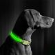 Coleira de cão LED recarregável 40-48 cm 1xCR2032/5V/40 mAh verde