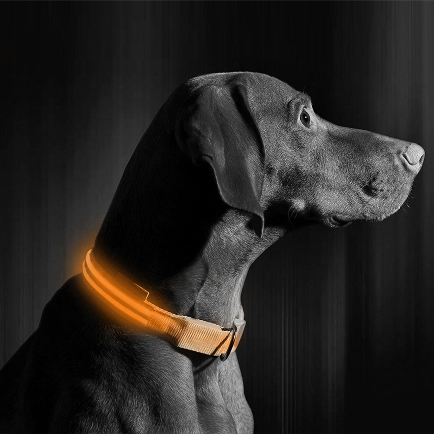 Coleira recarregável LED 40-48 cm 1xCR2032/5V/40 mAh laranja