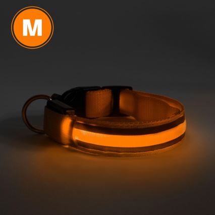 Coleira recarregável LED 40-48 cm 1xCR2032/5V/40 mAh laranja