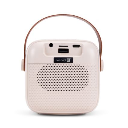 CONNECT IT CSP-1010-BG - Coluna LED RGB com 2 microfones sem fios (2 Mic), 5 W, bateria 1200 mAh + 2x 400 mAh, creme/dourado