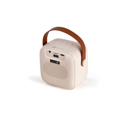 CONNECT IT CSP-1010-BG - Coluna LED RGB com 2 microfones sem fios (2 Mic), 5 W, bateria 1200 mAh + 2x 400 mAh, creme/dourado