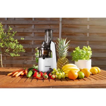 Concept LO7065 - Extrator de suco masticador 3 em 1 240W/230V cinza