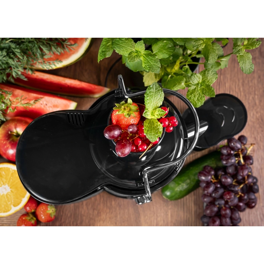 Concept LO7095 - Espremedor centrífugo 1000W/230V preto/inox