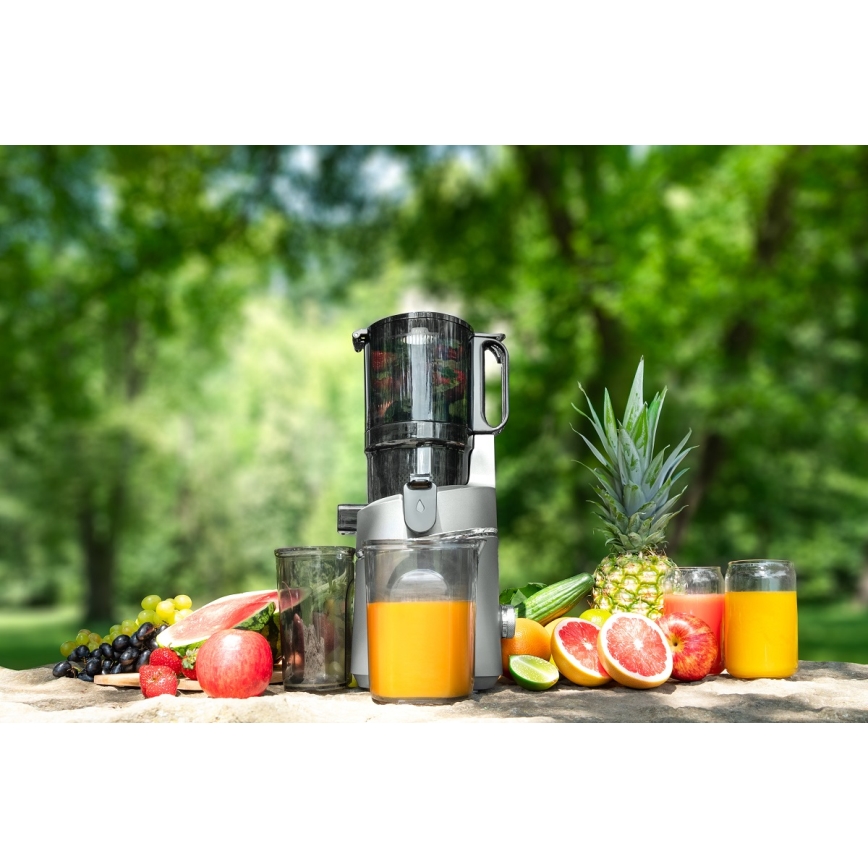 Concept LO7120 - Liquidificador JUICY 250W/230V cinzento