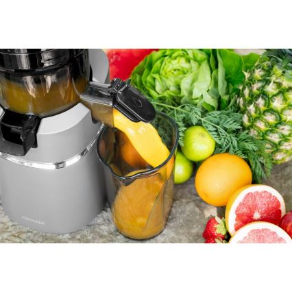 Concept LO7120 - Liquidificador JUICY 250W/230V cinzento