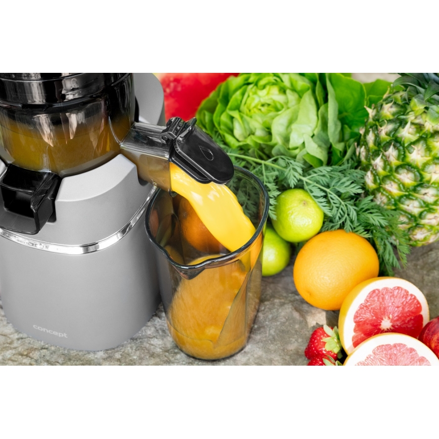 Concept LO7120 - Liquidificador JUICY 250W/230V cinzento