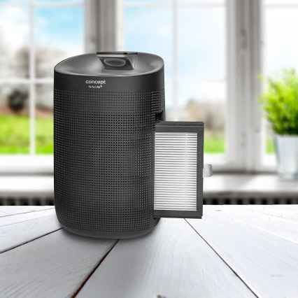Concept OV1210 - Desumidificador e Purificador de Ar PERFECT AIR 1 l 45W/230V preto