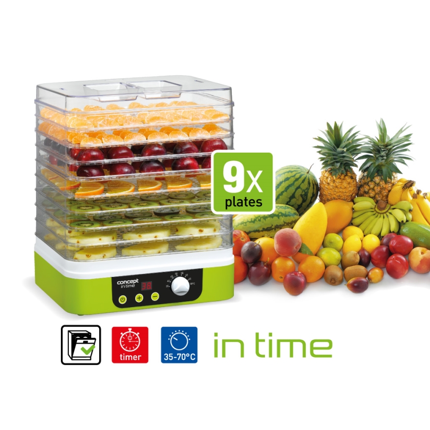 Concept SO1060 - Desidratador de alimentos 260W/230V verde