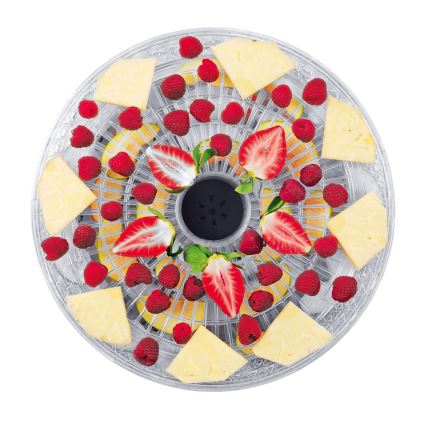 Concept SO2020 - Secador para alimentos 500W/230V branco